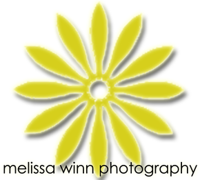 melissa winn photography